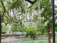 -成都市活水公园