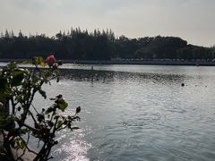 -千禧万福汉亭舫·船舫苏宴