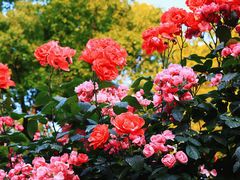 -上海科技馆(地铁站)