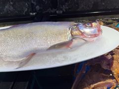 -忆江南·临江鱼馆