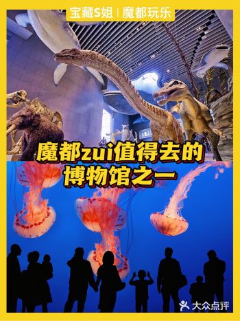 宝藏玩乐 | 魔都zui值得去的博物馆之一