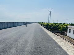-上海长兴岛郊野公园