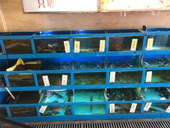 -金苑海鲜酒家(新港中路店)