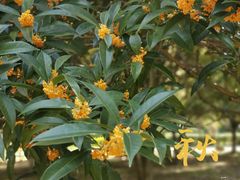 -白塘生态植物园