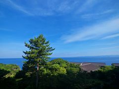 -南紀白浜 浜千鳥の湯 海舟