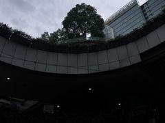 -鹿港小镇(金虹桥国际中心店)