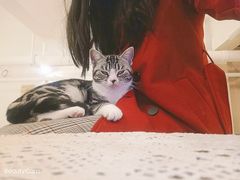 -猫友咖啡店(玉林西路店)