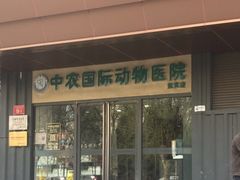 -中农国际动物医院24小时·猫科·骨科·急重症中心