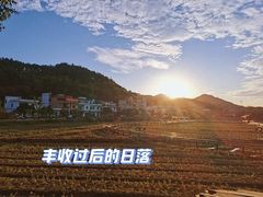 -红山村