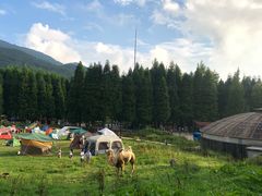 -武陵山森林公园