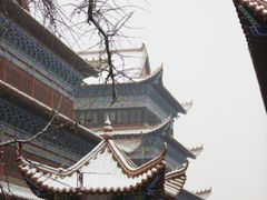 章华寺雪中景色-章华寺