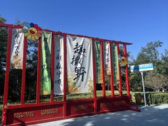 -青龙湖公园