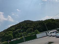 -慧娟面馆·餐厅(望江路店)