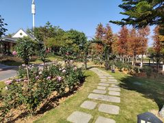 -映月湖公园
