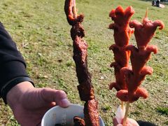 -天王浮山樱花园