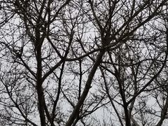 -白帝城·瞿塘峡景区