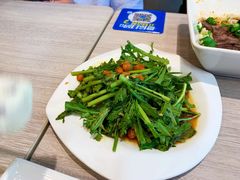 一豌脆茼蒿-康师傅私房牛肉面(马泉营奥莱店)