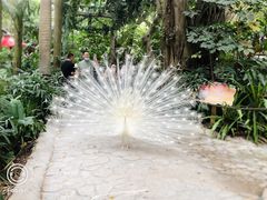 -广州长隆野生动物世界