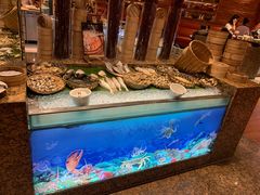 -马哥孛罗咖啡厅·Cafe Marco (厦门马哥孛罗东方大酒店)