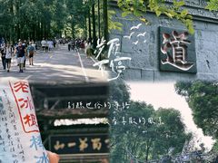 -青城山