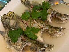 清蒸本湾鳜鱼-壹零贰小馆(桂城石啃店)