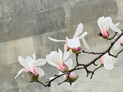 -东华门大街小区