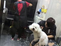 -小尾巴宠物店(万科·金域华庭店)