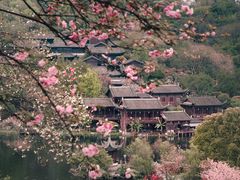 -重庆园博园