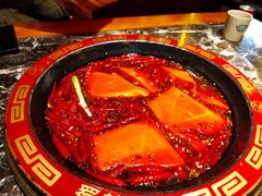 -蜀辣居鲜货老火锅(红牌楼店)