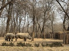 -北京野生动物园