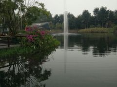 -成飞公园