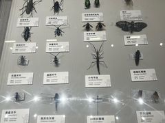 -四川大学博物馆