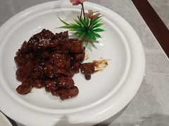 -老绍兴养和饭店(向阳不夜城店)