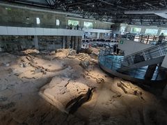 -自贡恐龙博物馆