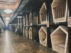 -水王国温泉水世界