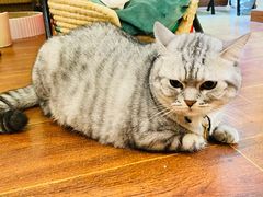-H立方实景剧情密室(天河旗舰店)