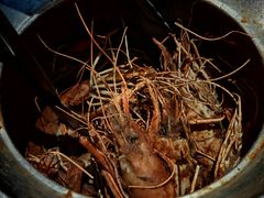 -隅乐胡椒虾·台湾菜·团建(皇岗店)