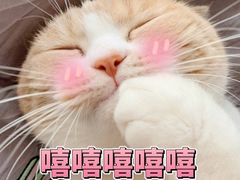 -海景壹号大酒店(滨湖店)