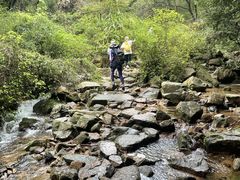 -莫干山风景区
