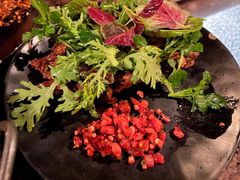 -毛辣果·酸(OHA复兴西路店)