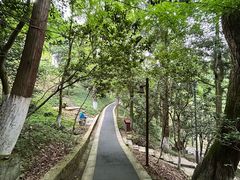 -莫干山风景区