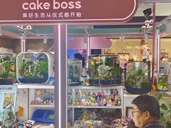 -CAKE BOSS 蛋糕老板(北京世纪金源购物中心)