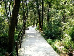 -上海佘山国家森林公园西佘山园