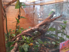 android_upload_pic-上海大自然野生昆虫馆