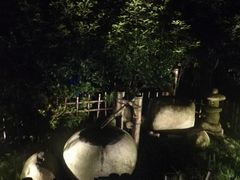 温泉一角-天目湖御水温泉·度假酒店