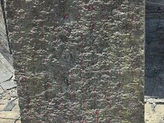 -上海佘山国家森林公园天马山园