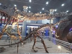 -国家自然博物馆