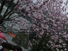 -遵义红军烈士陵园(凤凰山公园)