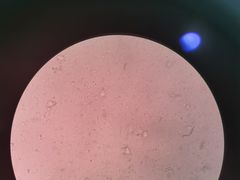 -严国平动物医院(德政总院)