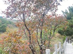 -焦作青龙峡风景名胜区